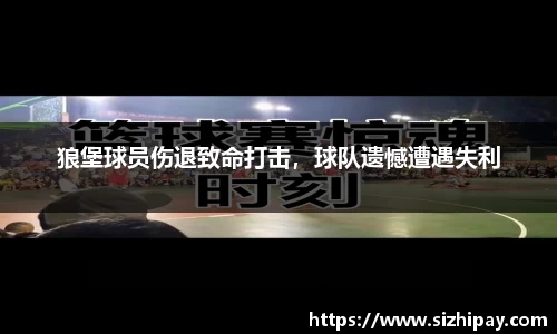 BoB半岛·体育中国官方网站