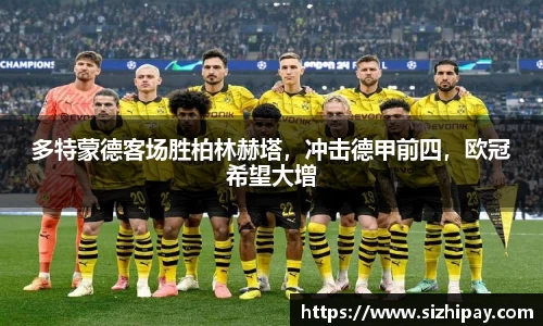 BoB半岛·体育中国官方网站