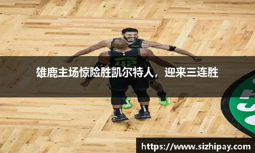 半岛bob·官方网站