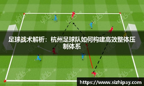 BoB半岛·体育中国官方网站
