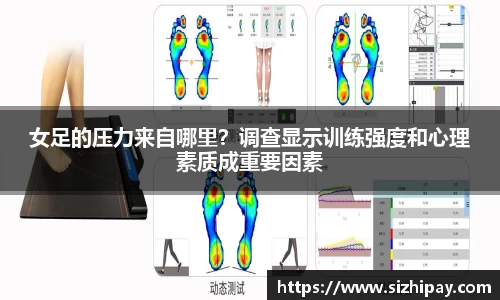 半岛bob·官方网站