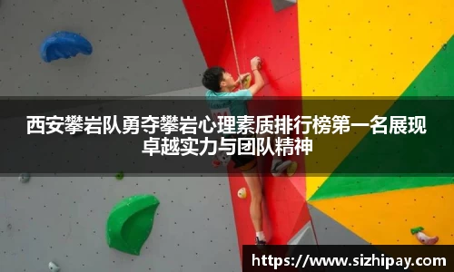 BoB半岛·体育中国官方网站