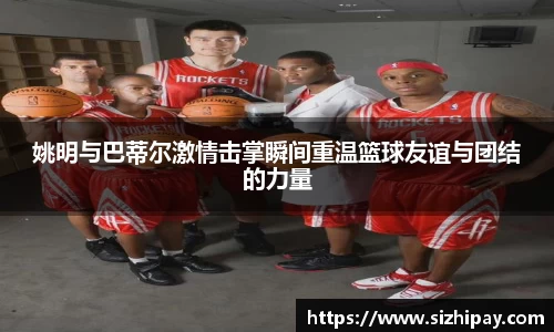BoB半岛·体育中国官方网站