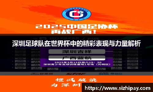 BoB半岛·体育中国官方网站