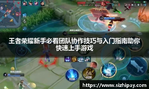 半岛bob·官方网站
