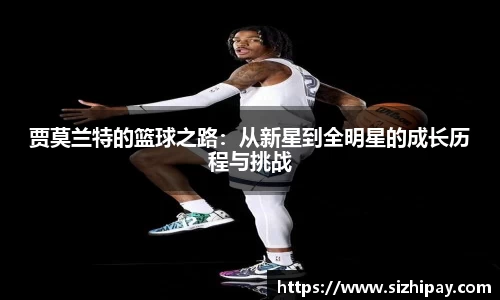 半岛bob·官方网站