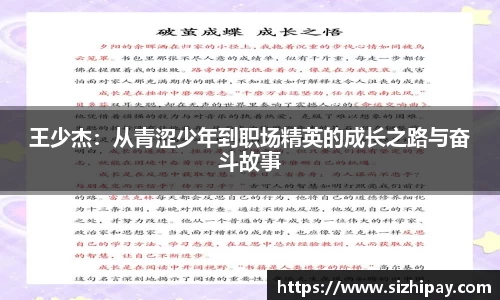 BoB半岛·体育中国官方网站