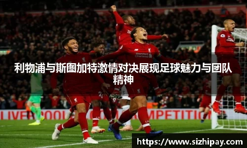 BoB半岛·体育中国官方网站