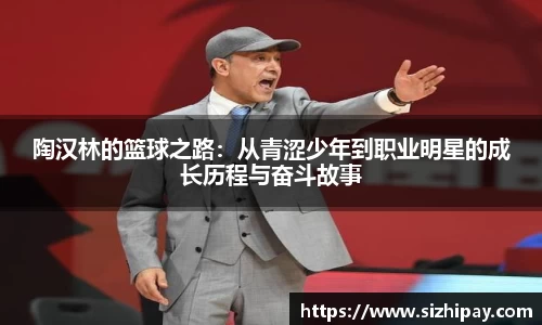 BoB半岛·体育中国官方网站