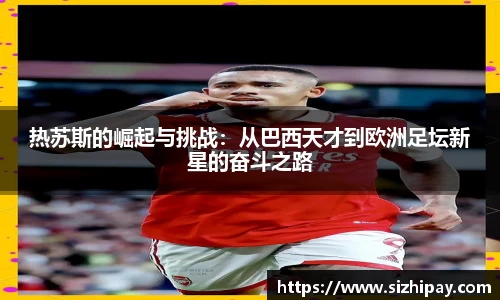 半岛bob·官方