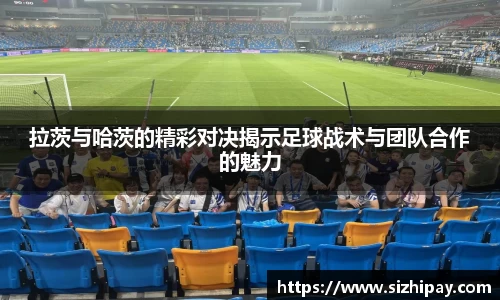 半岛·BOB官方网站