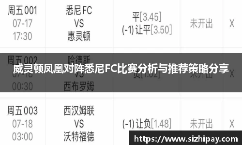 BoB半岛·体育中国官方网站